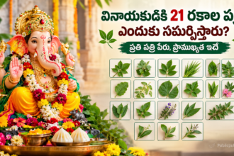 వినాయక చవితి 2026లో గణపతి పూజకు సమర్పించే 21 రకాల పత్రులు. publicpulseindia.in